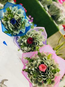 پول آرایی